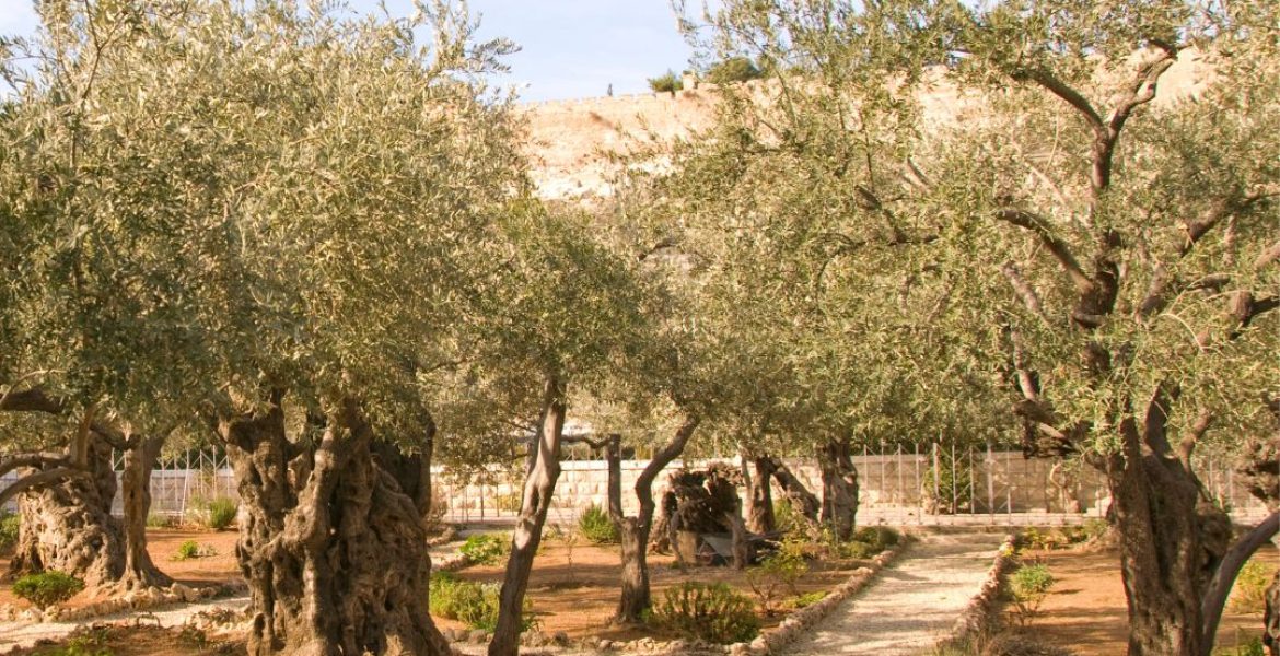 Gethsemane